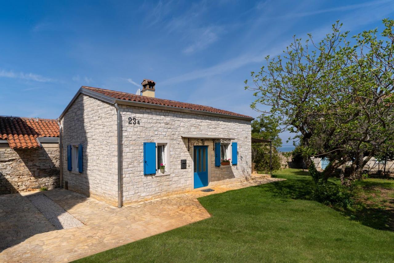 Villa Daulos Novigrad Istria Eksteriør billede