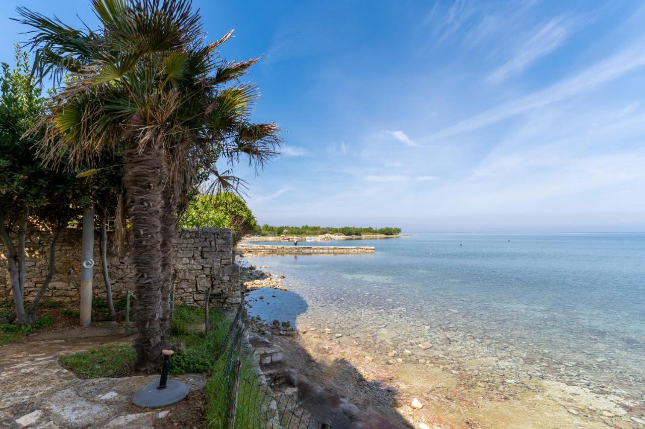 Villa Daulos Novigrad Istria Eksteriør billede