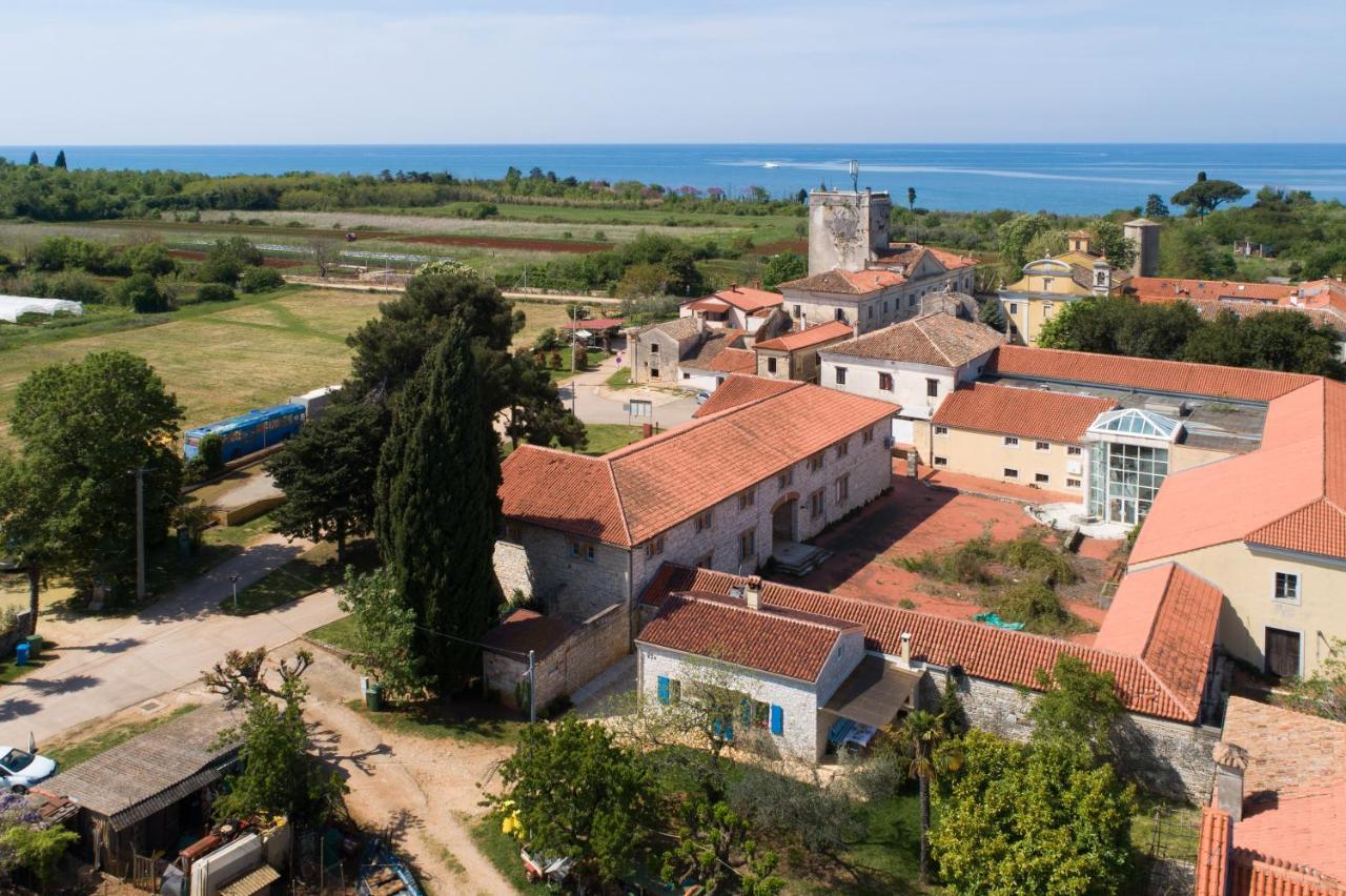 Villa Daulos Novigrad Istria Eksteriør billede