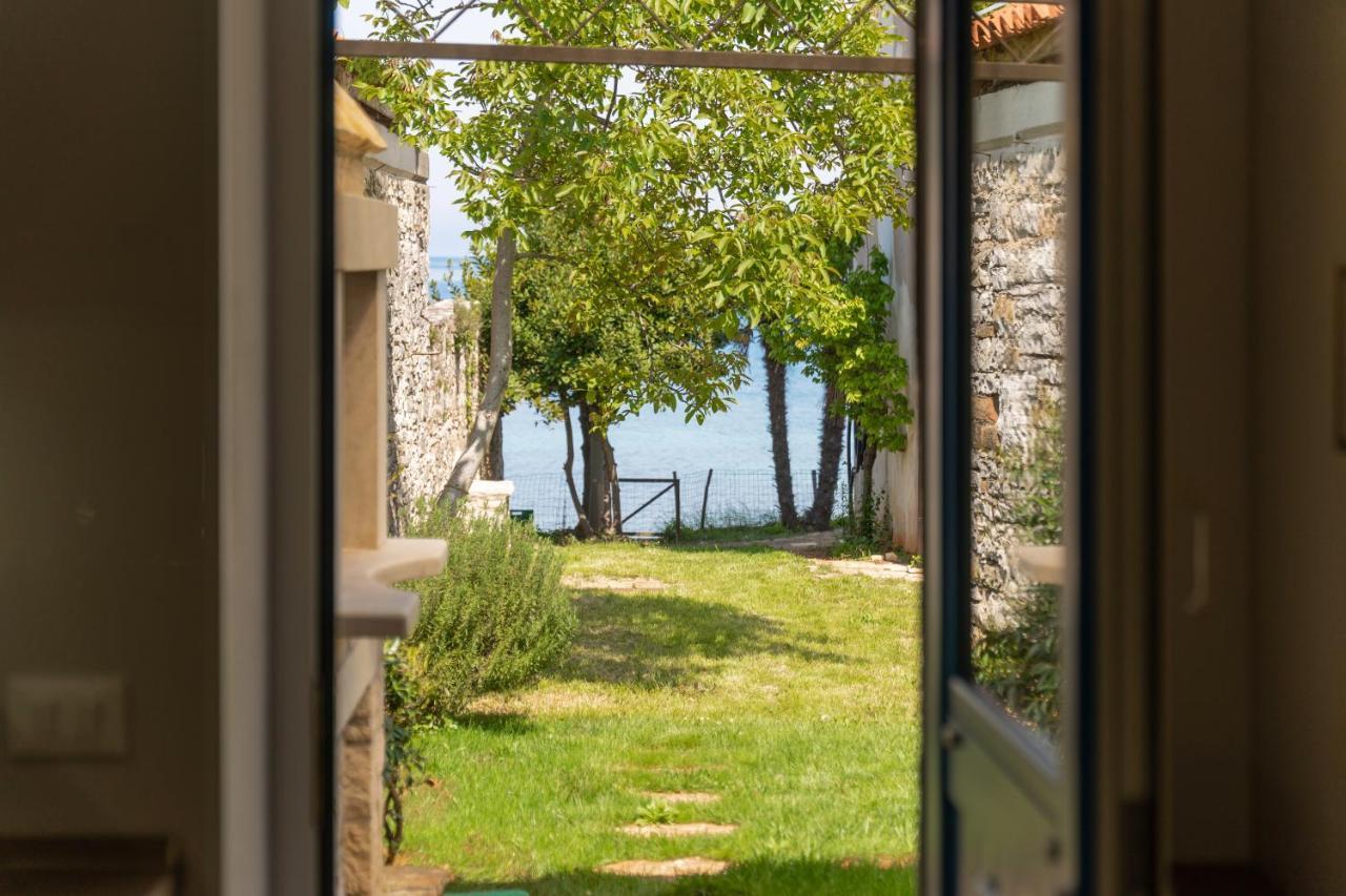 Villa Daulos Novigrad Istria Eksteriør billede